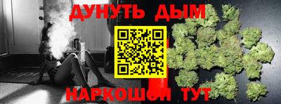 прущие крисы Новозыбков
